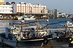 Squid Boats in the Harbor